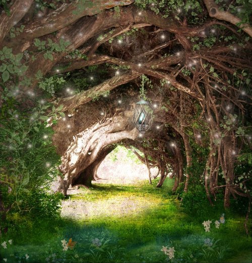 Faeries_Path