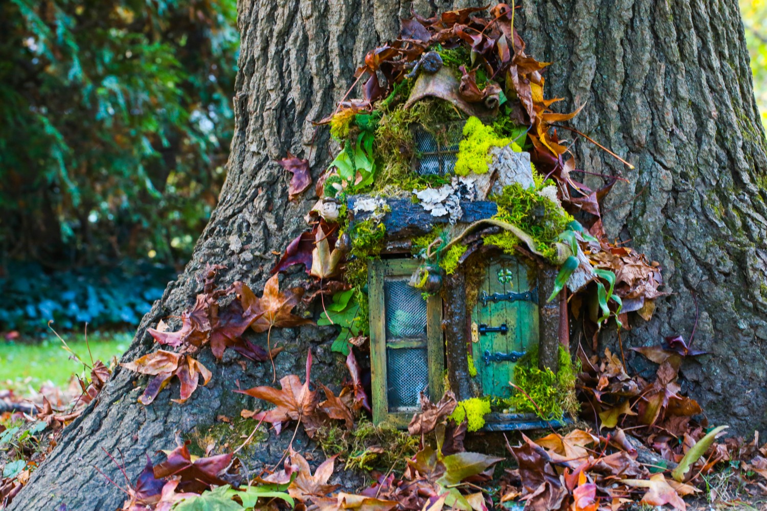 fairy-house-2-1-of-1