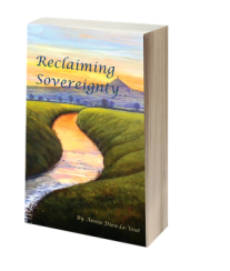 reclaiming-sovereignty-3d-cover-brightened