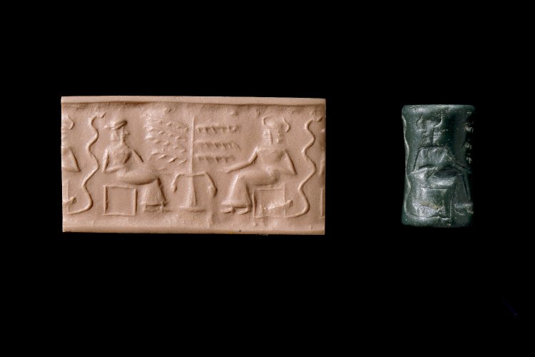 Meso cylinder seal