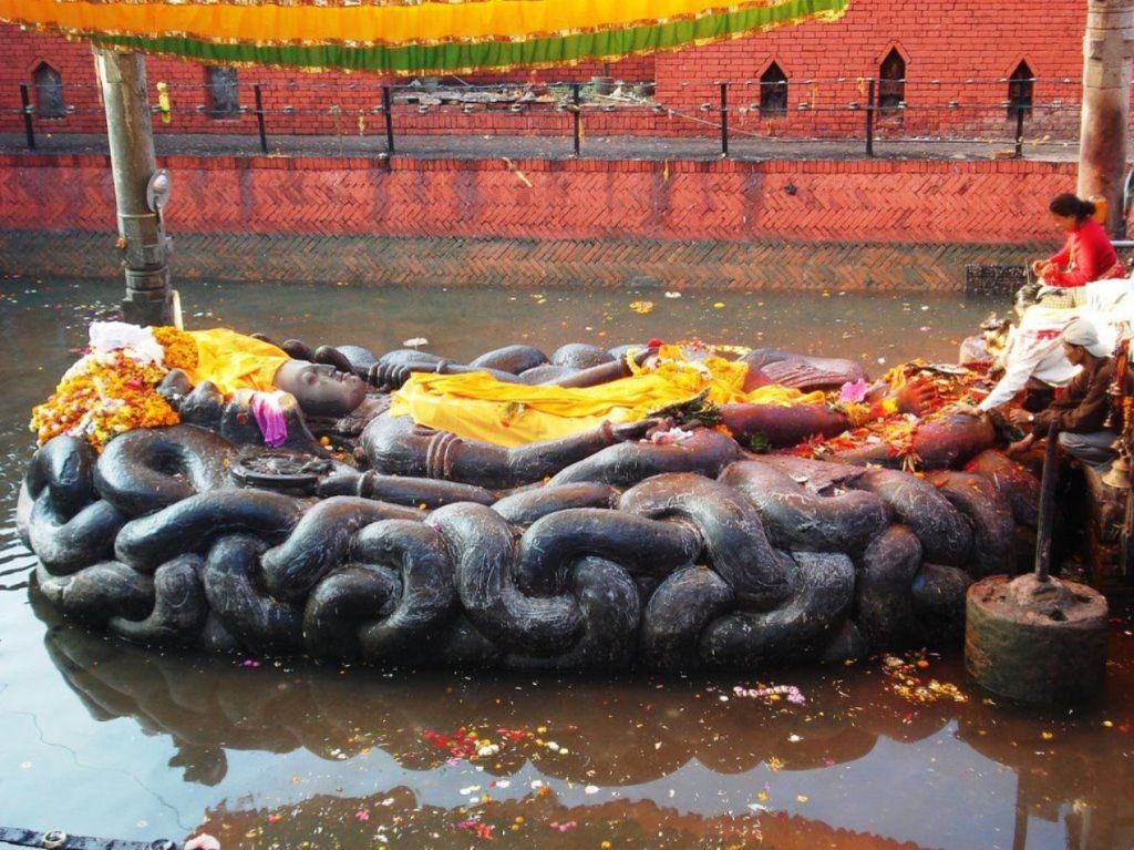 The Cosmic Serpent and the&nbsp;Coronavirus