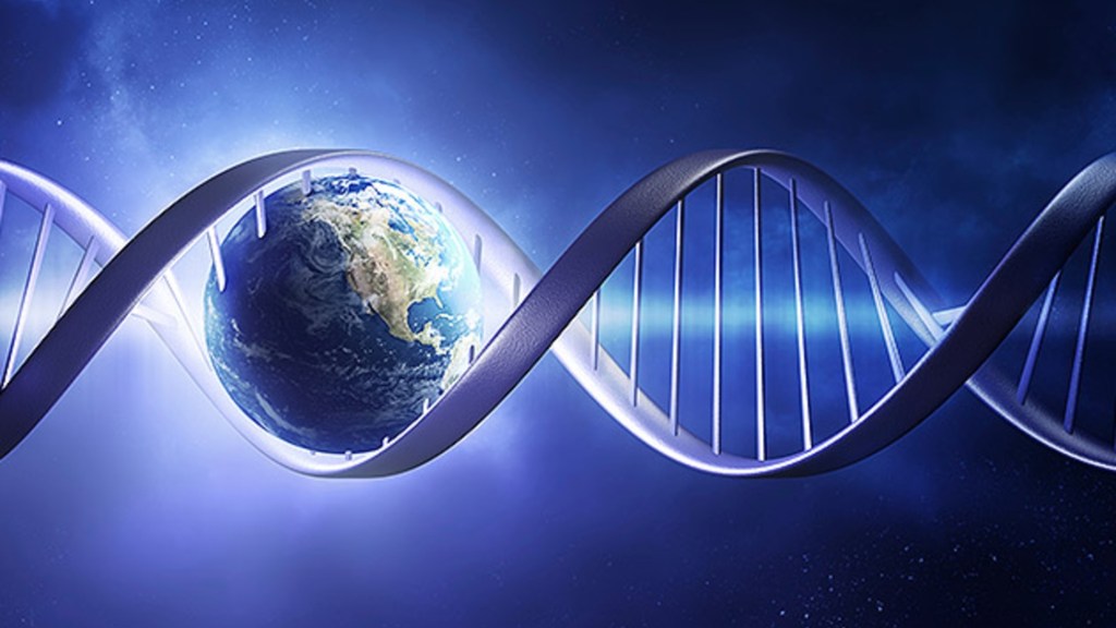 Life on Earth – how to make sense of&nbsp;it