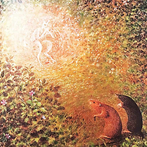 The Wind in the&nbsp;Willows